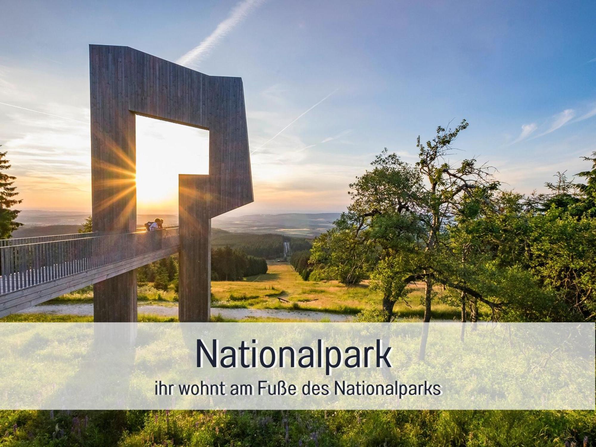 Natur-Chalet Zum Nationalpark Franz Inkl. E-Auto Allenbach Exterior photo
